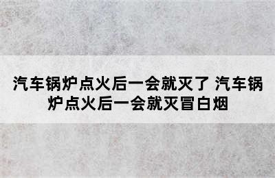 汽车锅炉点火后一会就灭了 汽车锅炉点火后一会就灭冒白烟